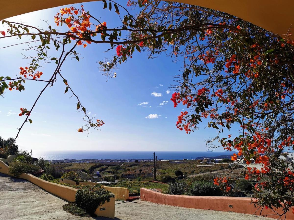 Vineyards Hill Villa Megalochori  Luaran gambar